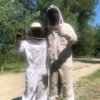 stage d'apiculture