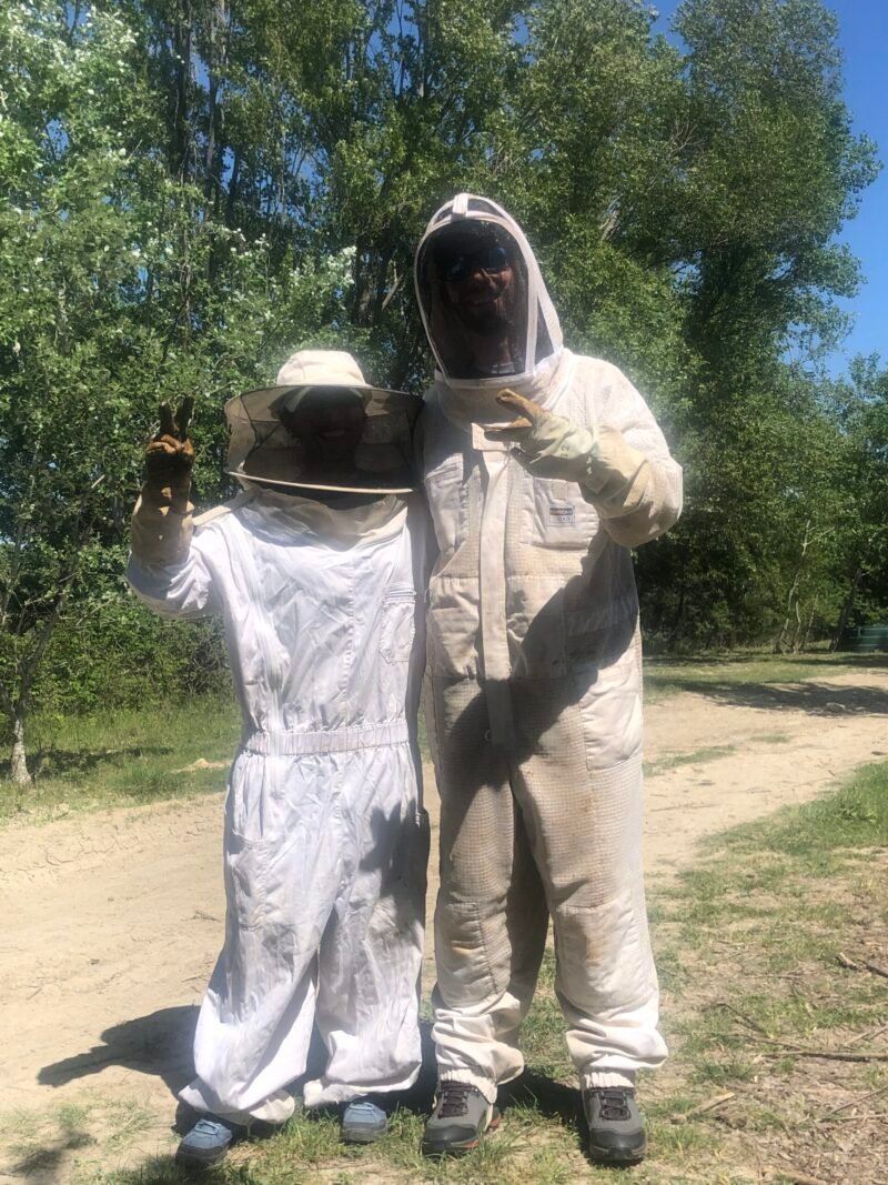 stage d'apiculture