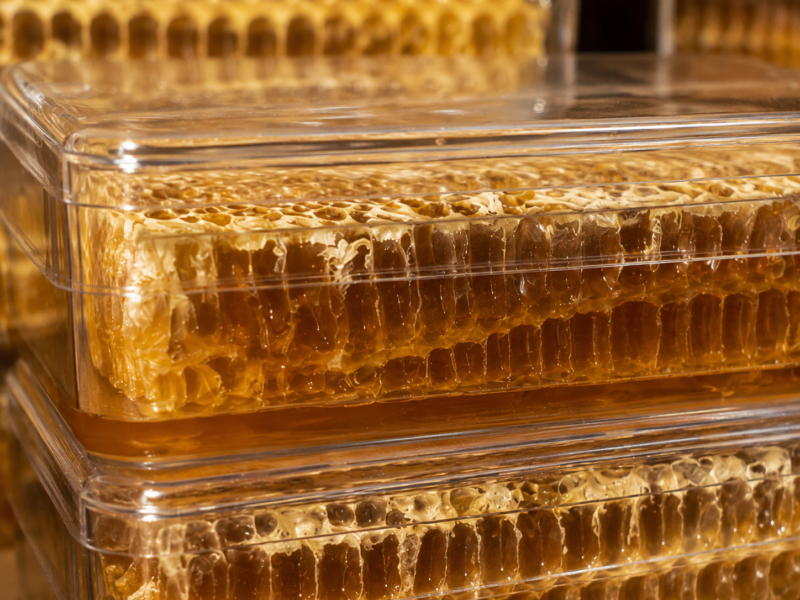 miel en rayon, gros plan