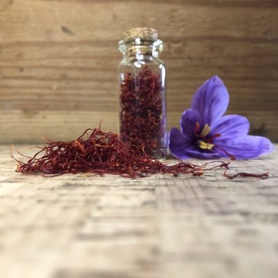 émondage du safran artisanal dans l’atelier de Roquemaure